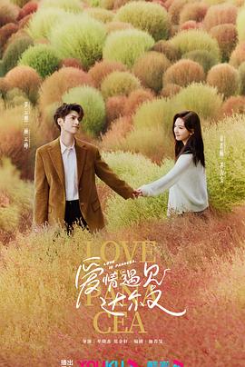 南宁seo优化运营公司